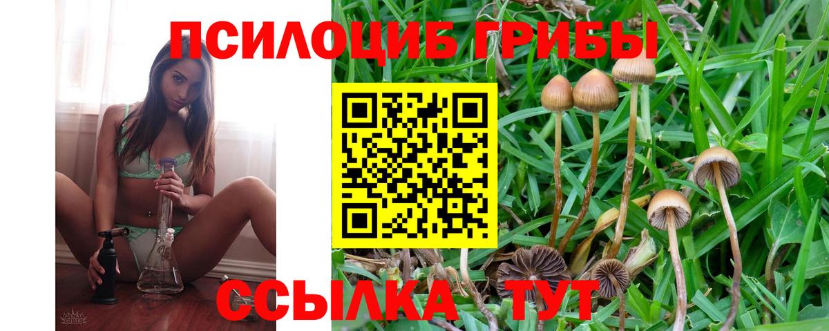 Нефтеюганск  Псилоцибиновые грибы Psilocybine cubensis  Вход с VPN 